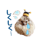 ハリネズミたいちゃんの日常（個別スタンプ：16）