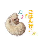 ハリネズミたいちゃんの日常（個別スタンプ：21）