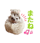 ハリネズミたいちゃんの日常（個別スタンプ：27）