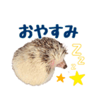ハリネズミたいちゃんの日常（個別スタンプ：28）