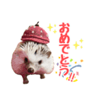 ハリネズミたいちゃんの日常（個別スタンプ：29）