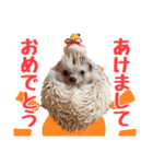 ハリネズミたいちゃんの日常（個別スタンプ：32）