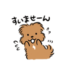 こぐま犬てんすけお出かけのお誘い（個別スタンプ：33）