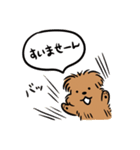 こぐま犬てんすけお出かけのお誘い（個別スタンプ：39）