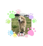 FINOの一言（個別スタンプ：3）
