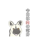 【日常】アニマル祭り（個別スタンプ：21）