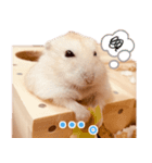 ジャンガリアンハムスターのはむちゃん（個別スタンプ：2）