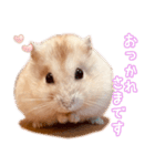 ジャンガリアンハムスターのはむちゃん（個別スタンプ：3）