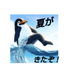 ペンギンのつぶやき3_rev2（個別スタンプ：3）