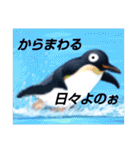 ペンギンのつぶやき3_rev2（個別スタンプ：8）