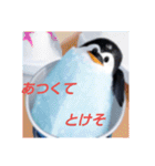 ペンギンのつぶやき3_rev2（個別スタンプ：9）