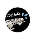 チャコティコシェイク【丁寧・敬語】（個別スタンプ：9）