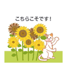 夏の花いっぱいと猫 夏の挨拶と日常（個別スタンプ：12）