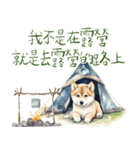 柴犬のキャンプライフ（個別スタンプ：5）