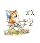 柴犬のキャンプライフ（個別スタンプ：9）