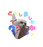 ミュウくんとレンくん（個別スタンプ：2）