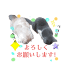 ミュウくんとレンくん（個別スタンプ：5）