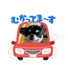 かい。23.2ページ。（個別スタンプ：3）