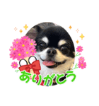 かい。23.2ページ。（個別スタンプ：4）