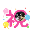 かい。23.2ページ。（個別スタンプ：7）