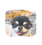 かい。23.2ページ。（個別スタンプ：9）