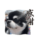 かい。23.2ページ。（個別スタンプ：10）