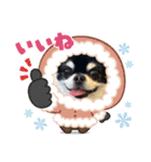 かい。23.2ページ。（個別スタンプ：12）