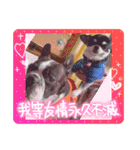 かい。23.2ページ。（個別スタンプ：14）