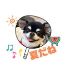 かい。23.2ページ。（個別スタンプ：15）
