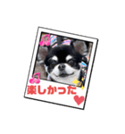 かい。23.2ページ。（個別スタンプ：16）