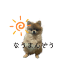塩対応オトメうにちゃん（個別スタンプ：2）