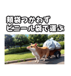 動物たちの反抗期（個別スタンプ：9）