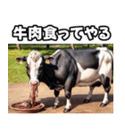 動物たちの反抗期（個別スタンプ：14）