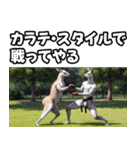 動物たちの反抗期（個別スタンプ：18）