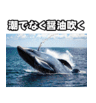 動物たちの反抗期（個別スタンプ：20）