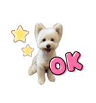 くまうさぎととろ（個別スタンプ：1）