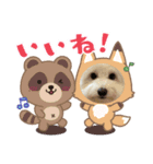 くまうさぎととろ（個別スタンプ：3）