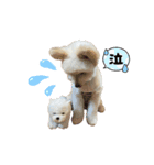 くまうさぎととろ（個別スタンプ：5）
