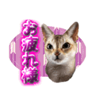 愛之介だニャ（個別スタンプ：3）