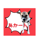 ウルトラ7☆（個別スタンプ：9）