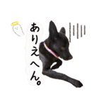 ウルトラ7☆（個別スタンプ：13）