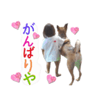 ウルトラ7☆（個別スタンプ：19）