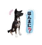ウルトラ7☆（個別スタンプ：23）
