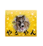 ウルトラ7☆（個別スタンプ：32）