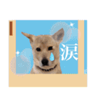ウルトラ7☆（個別スタンプ：39）
