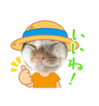 小豆くんだよ（個別スタンプ：2）