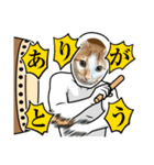 小豆くんだよ（個別スタンプ：4）