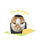 小豆くんだよ（個別スタンプ：16）