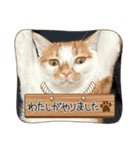 小豆くんだよ（個別スタンプ：17）