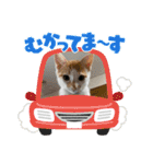 小豆くんだよ（個別スタンプ：22）